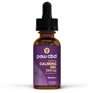 cbdMD - CBD Pet Tincture - Blueberry Calming Oil for Canines - 250mg-500mg