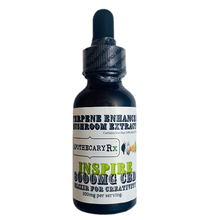 Load image into Gallery viewer, Apothecary RX - CBD Tincture - Inspire Elixir - 1000mg-3000mg