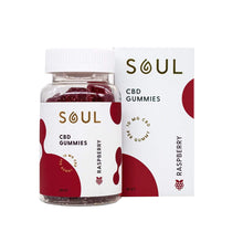 Load image into Gallery viewer, Soul CBD - Isolate Gummies - Raspberry - 10mg - 25mg