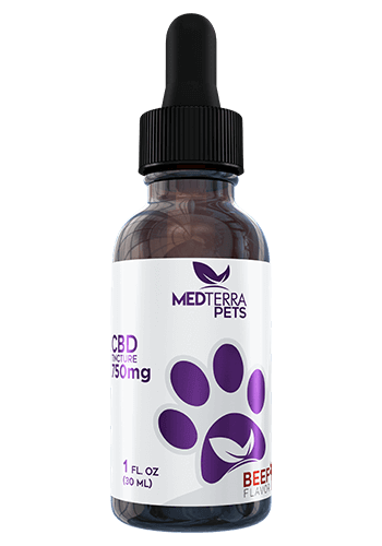 Medterra - CBD Pet Tincture - Beef - 150mg-750mg