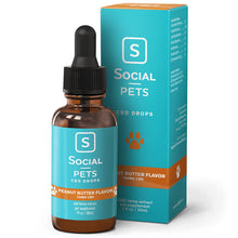 Load image into Gallery viewer, Social - CBD Pet Tincture - Broad Spectrum Peanut Butter - 500mg-750mg